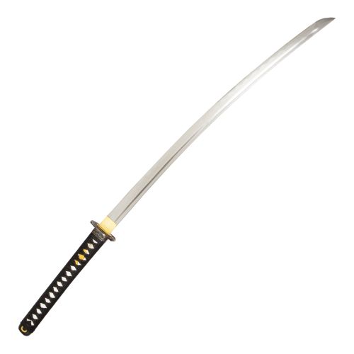 Black Sword w/ Dragon Hand Guard