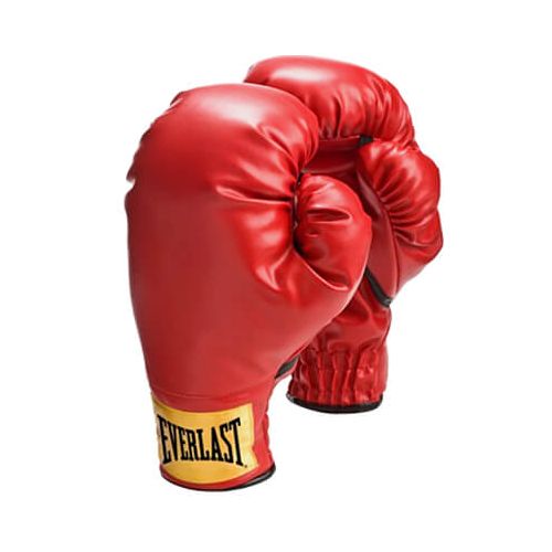 Everlast Laceless Boxing Training Gloves